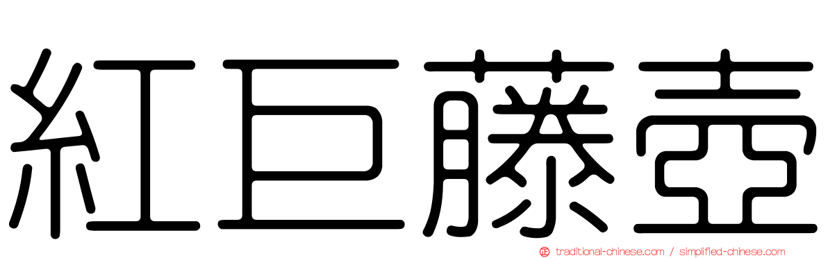 紅巨藤壺