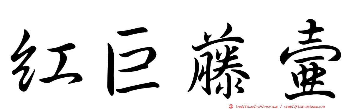 紅巨藤壺