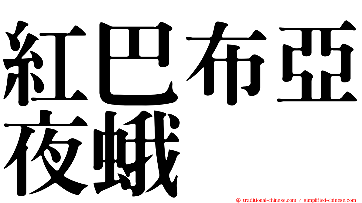 紅巴布亞夜蛾