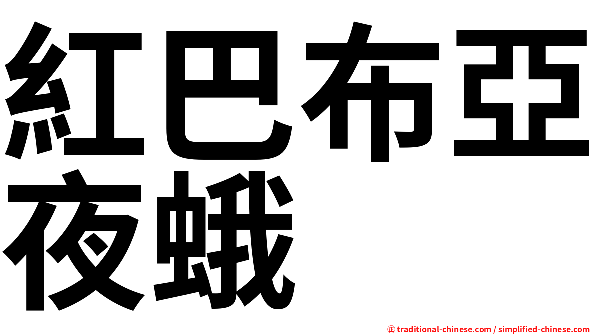 紅巴布亞夜蛾