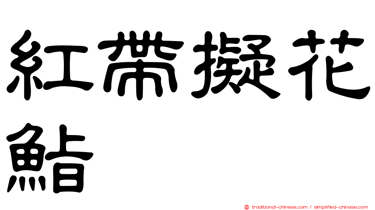紅帶擬花鮨