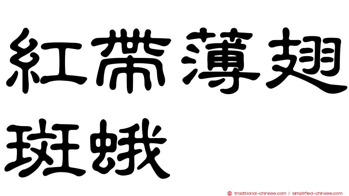 紅帶薄翅斑蛾