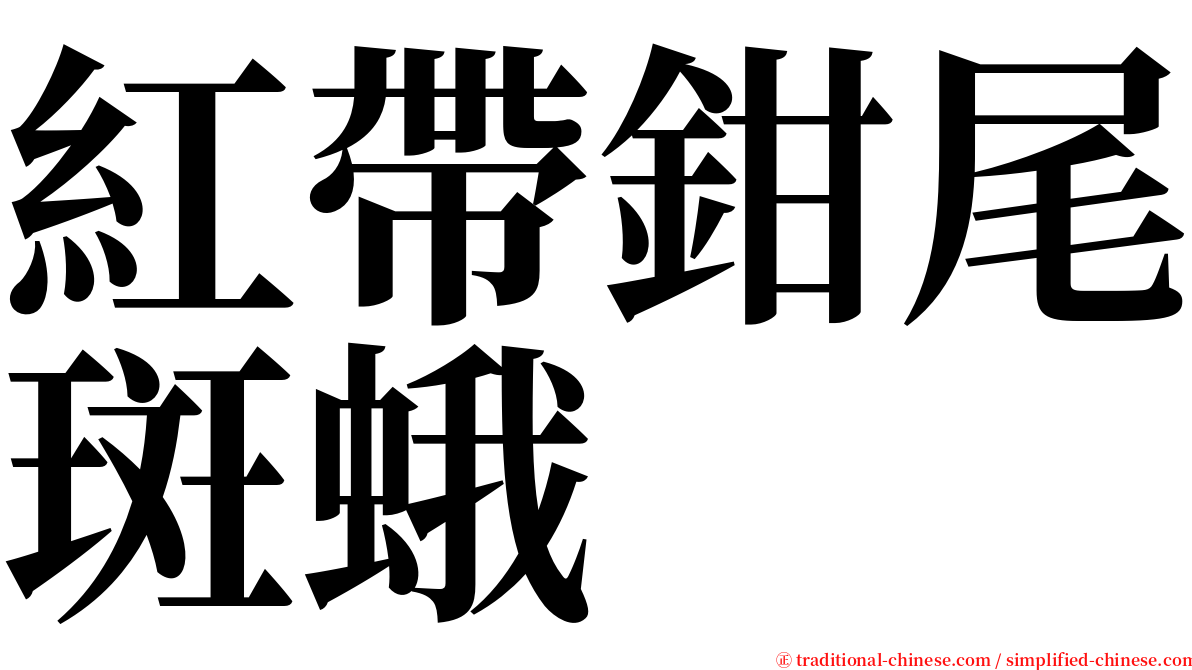 紅帶鉗尾斑蛾 serif font