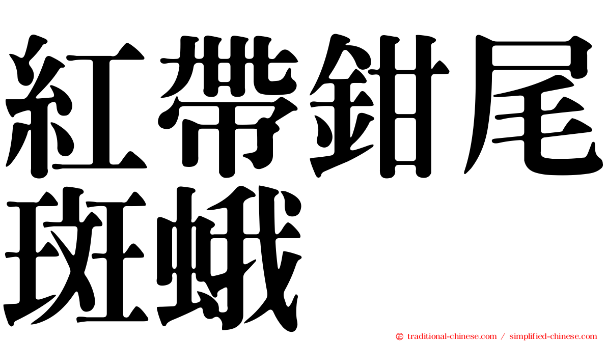 紅帶鉗尾斑蛾