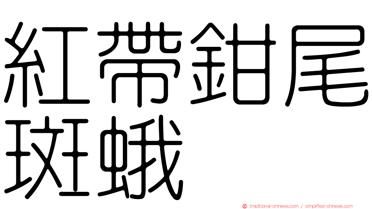 紅帶鉗尾斑蛾