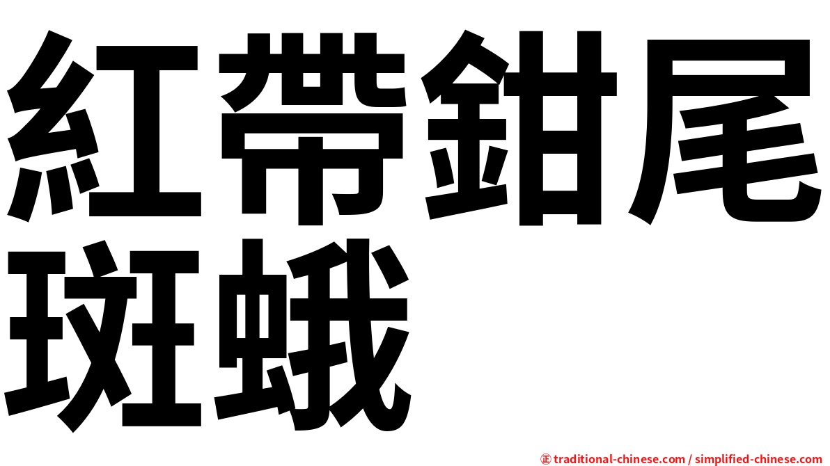 紅帶鉗尾斑蛾