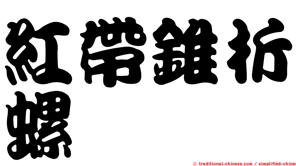 紅帶錐折螺