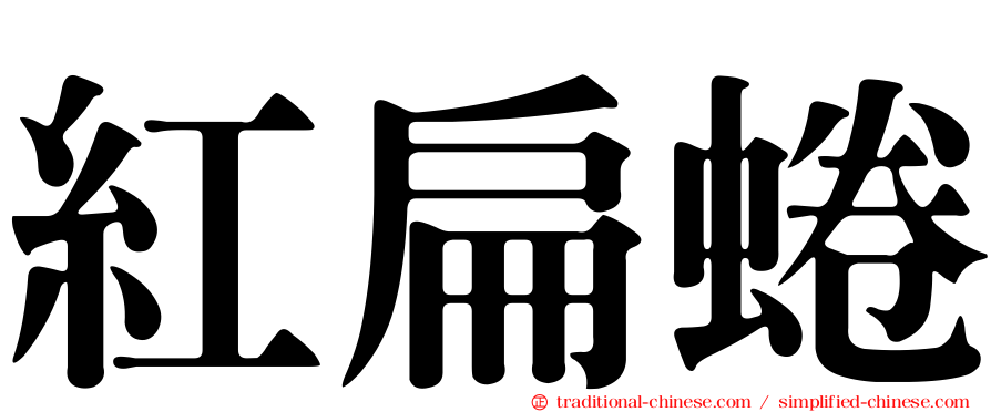 紅扁蜷