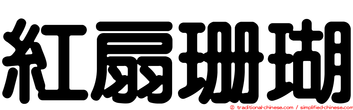 紅扇珊瑚