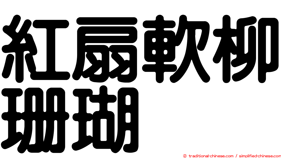 紅扇軟柳珊瑚