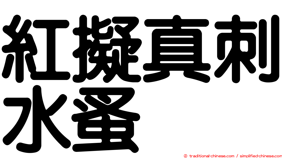 紅擬真刺水蚤