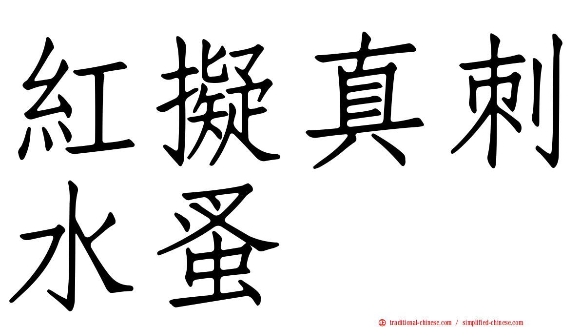紅擬真刺水蚤