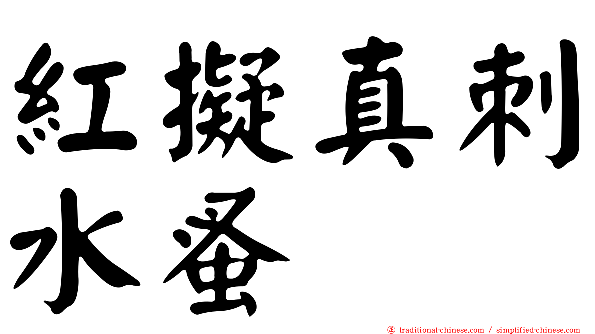紅擬真刺水蚤