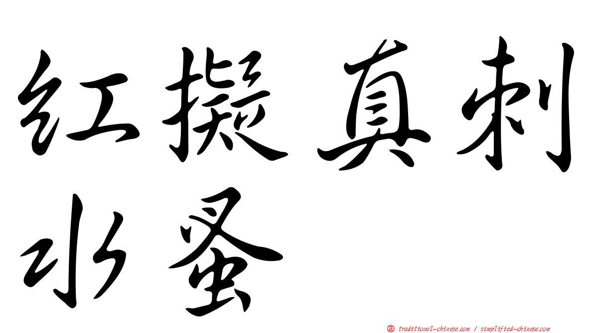 紅擬真刺水蚤