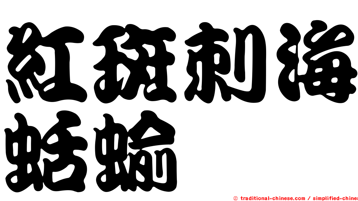 紅斑刺海蛞蝓