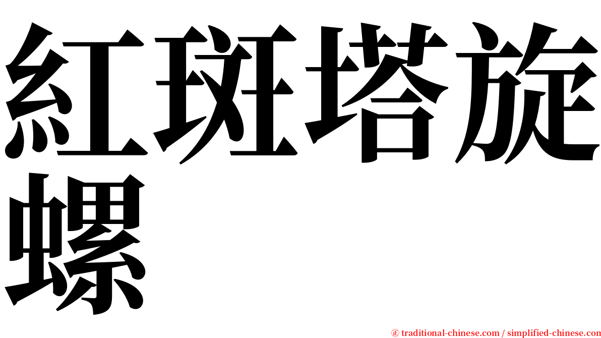 紅斑塔旋螺 serif font
