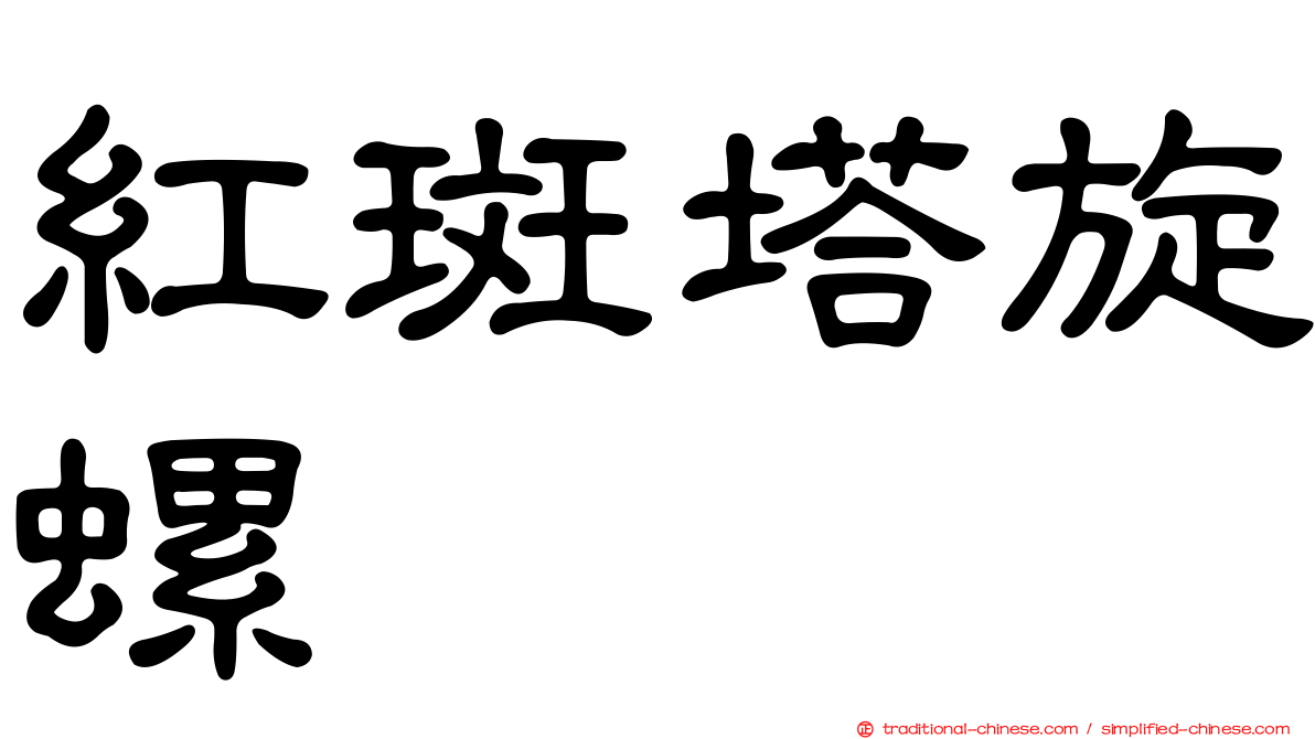 紅斑塔旋螺