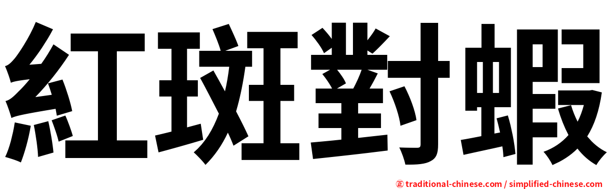 紅斑對蝦