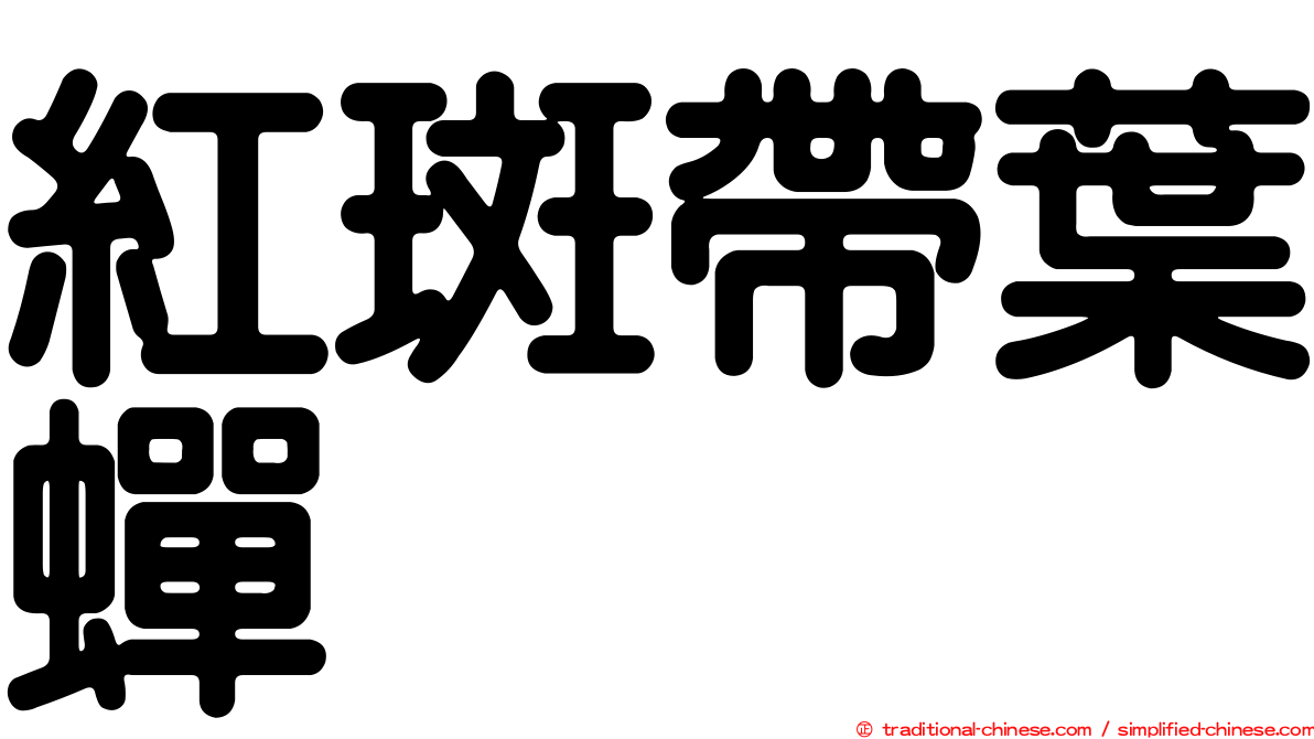 紅斑帶葉蟬