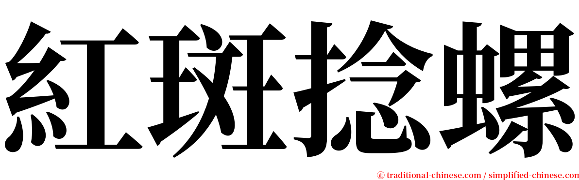 紅斑捻螺 serif font