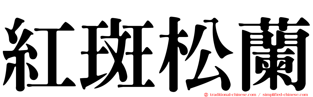 紅斑松蘭