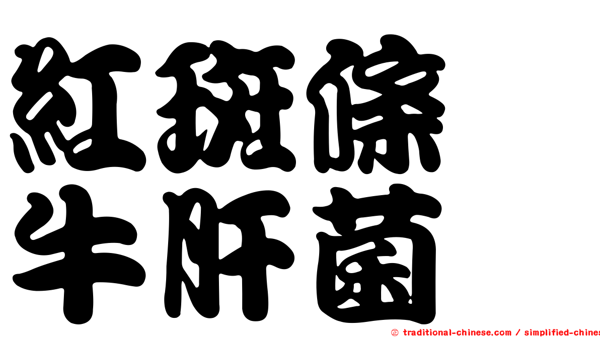 紅斑條孢牛肝菌
