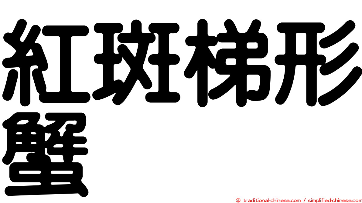 紅斑梯形蟹