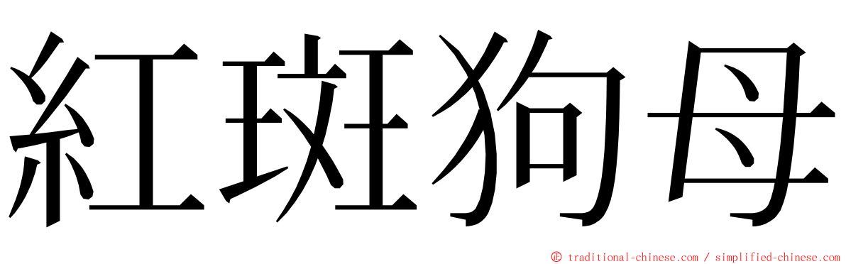 紅斑狗母 ming font