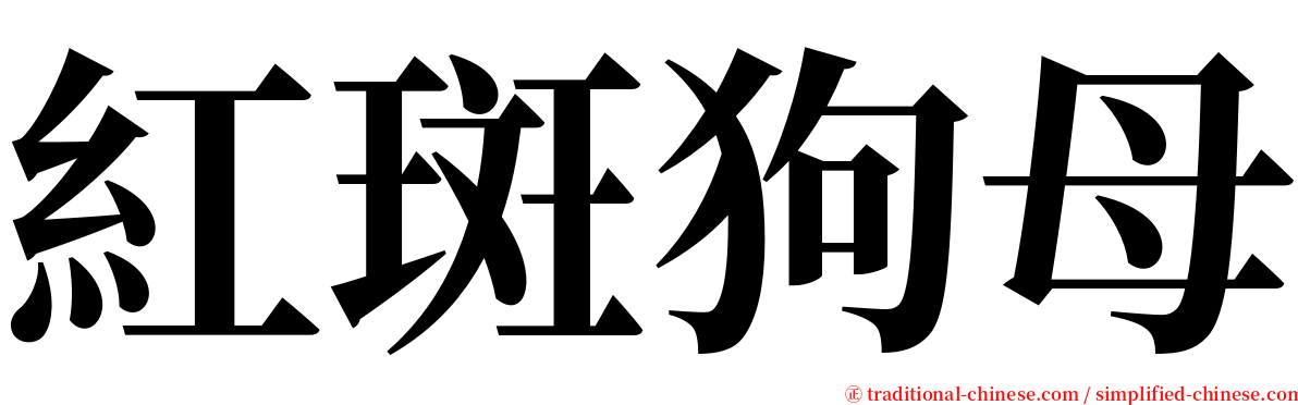 紅斑狗母 serif font