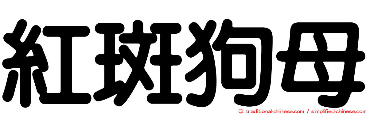 紅斑狗母