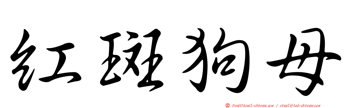 紅斑狗母