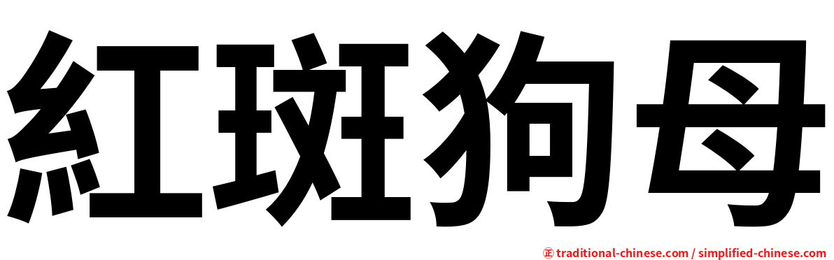 紅斑狗母