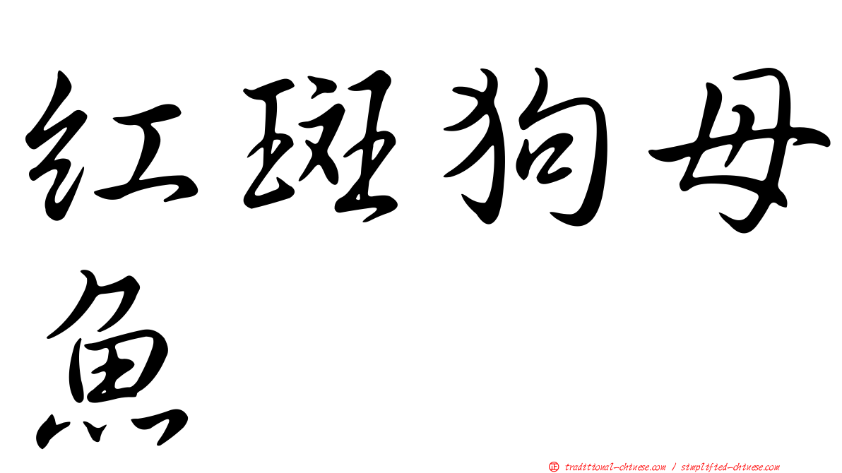 紅斑狗母魚