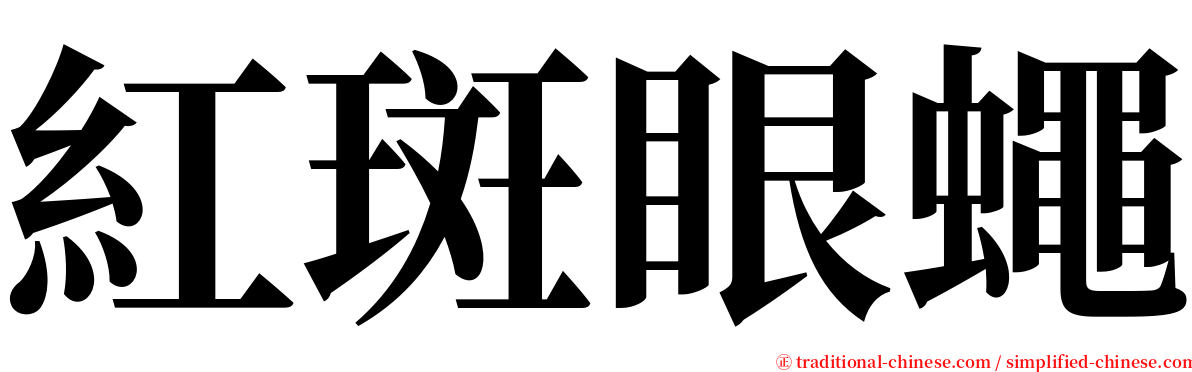 紅斑眼蠅 serif font