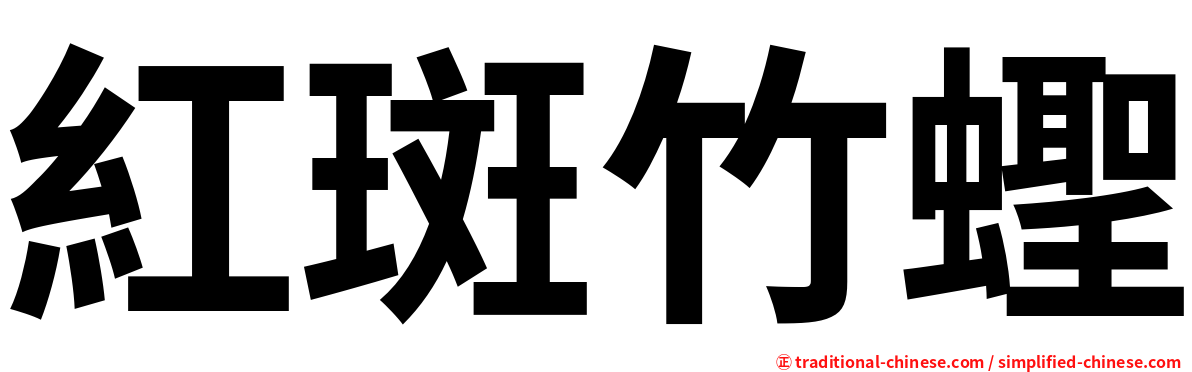 紅斑竹蟶