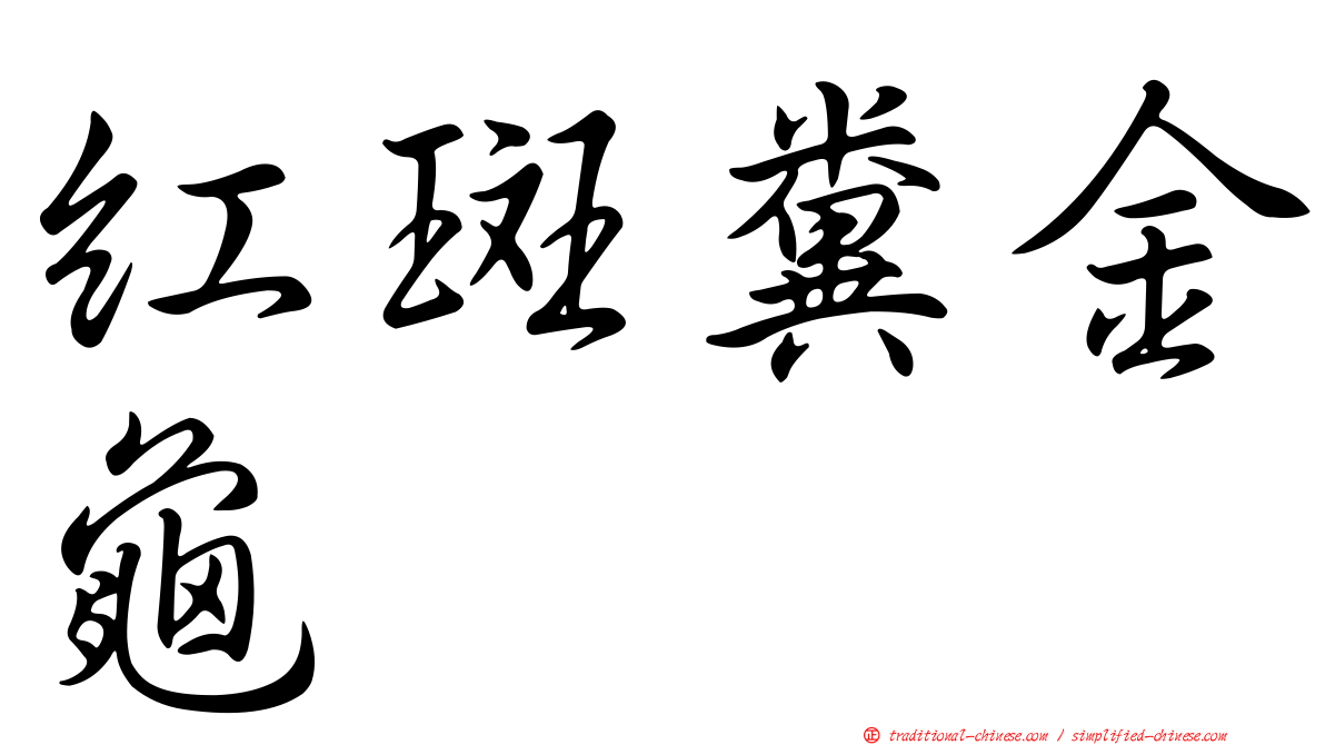 紅斑糞金龜
