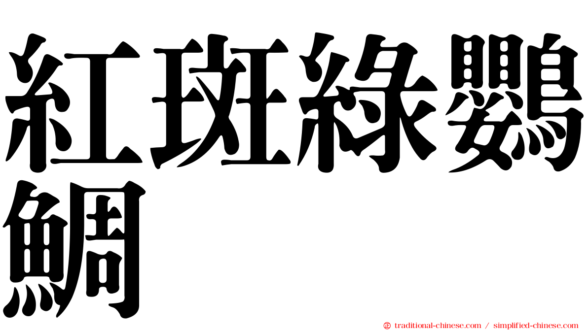 紅斑綠鸚鯛