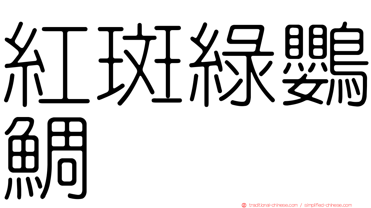 紅斑綠鸚鯛