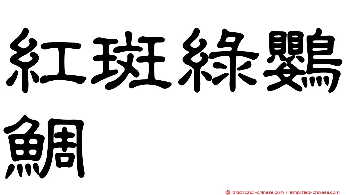 紅斑綠鸚鯛