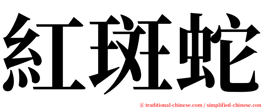 紅斑蛇 serif font