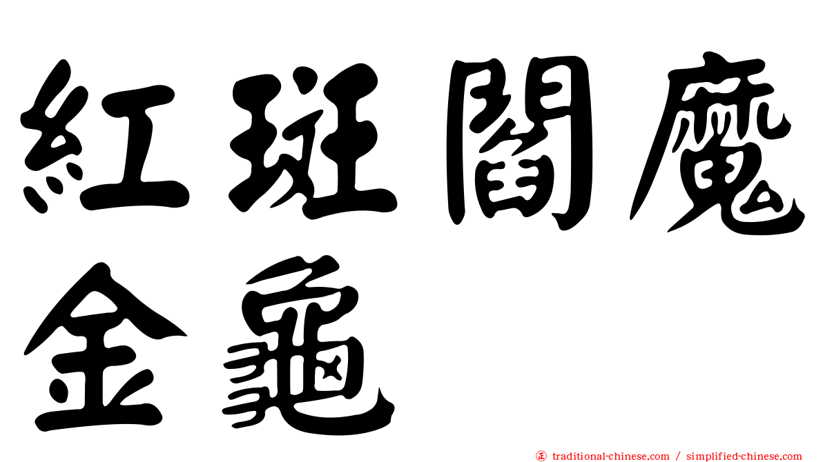 紅斑閻魔金龜