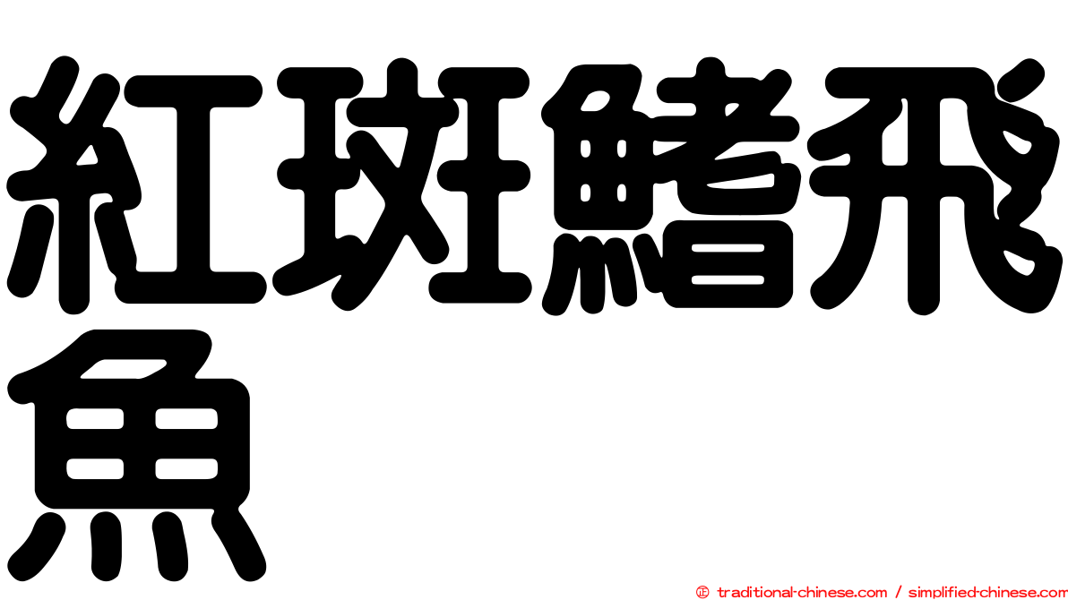 紅斑鰭飛魚