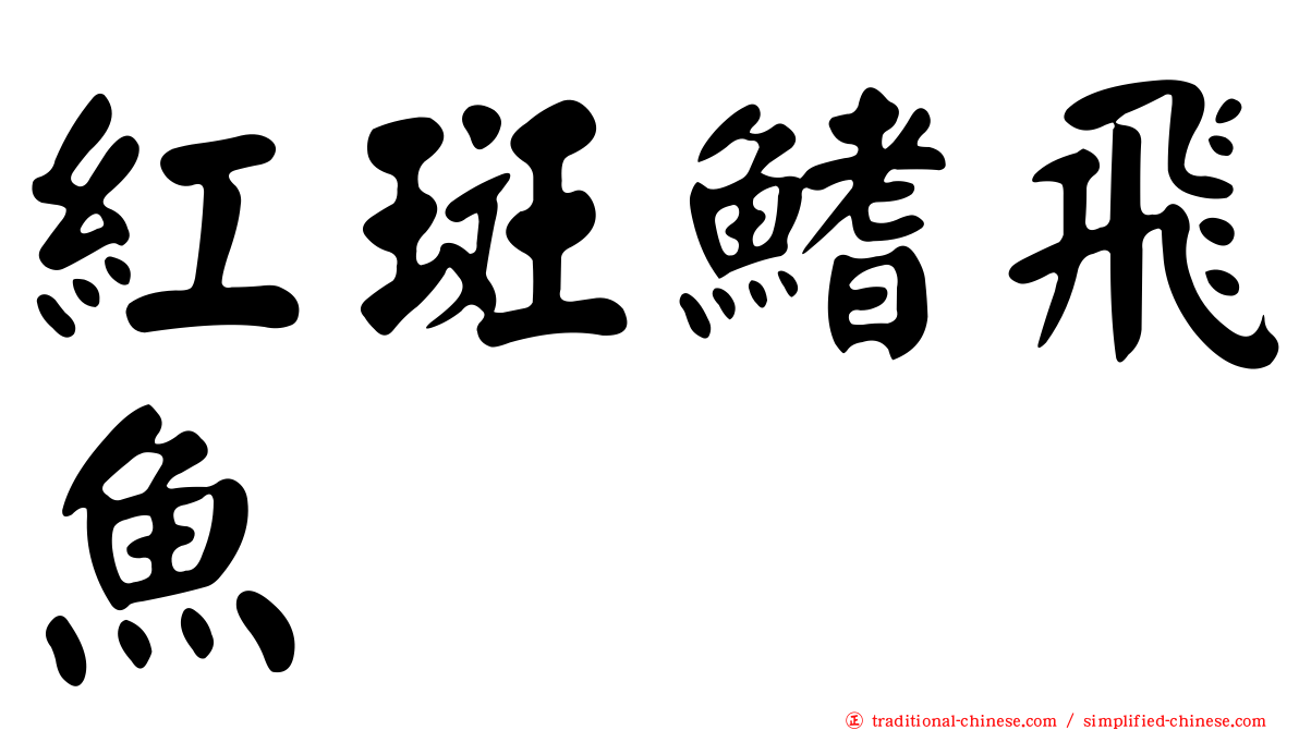 紅斑鰭飛魚