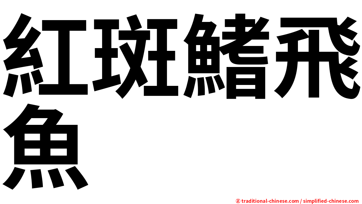 紅斑鰭飛魚