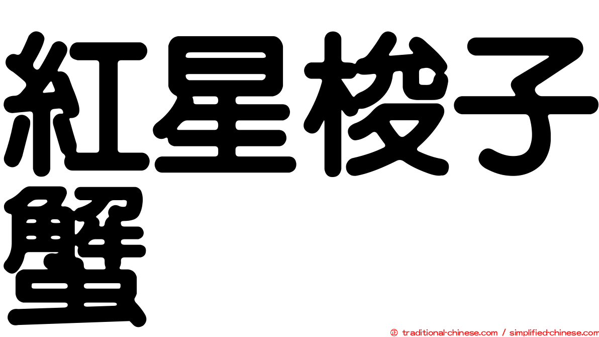 紅星梭子蟹