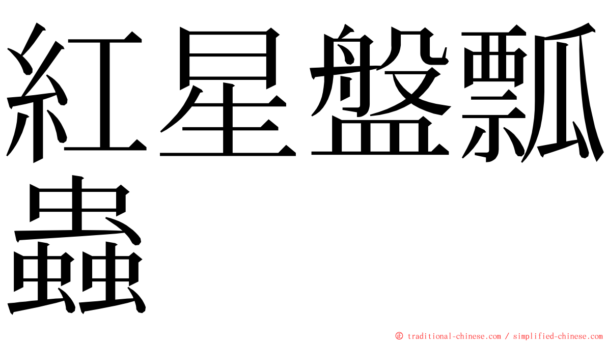 紅星盤瓢蟲 ming font