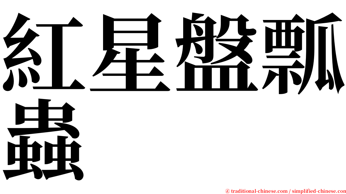 紅星盤瓢蟲 serif font