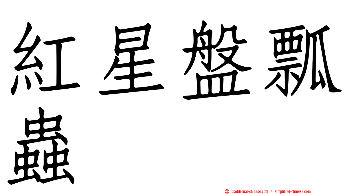 紅星盤瓢蟲