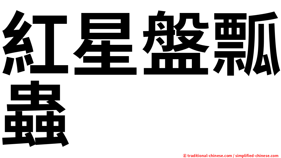 紅星盤瓢蟲