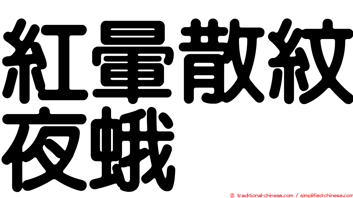 紅暈散紋夜蛾